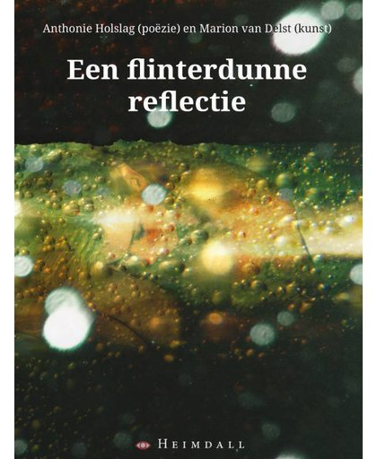 Flinterdunne reflectie - Anthonie Holslag