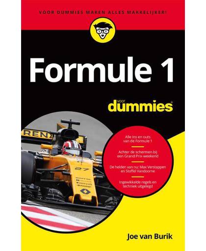 Formule 1 voor Dummies - Joe van Burik