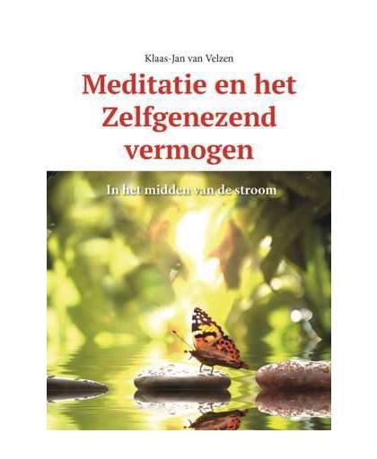 Meditatie en het Zelfgenezend vermogen - Klaas-Jan van Velzen