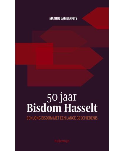 Bisdom Hasselt. De geschiedenis van het jongste Belgische bisdom in vogelvlucht - Mathijs Lamberigts