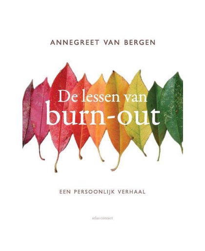 De lessen van Burn-out - Annegreet van Bergen