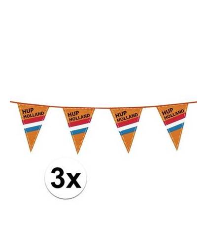 3x hup holland vlaggenlijn extra lang 40 meter