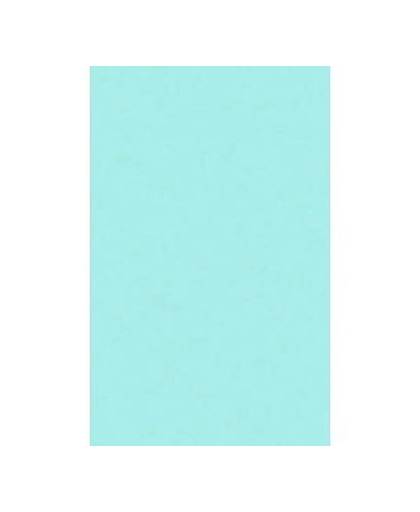 Mintblauw tafellaken/tafelkleed 138 x 220 cm herbruikbaar