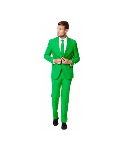 Luxe heren kostuum groen 48 (m)