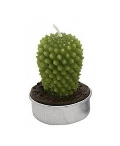 Cactus waxinelichtje 5 cm type 1
