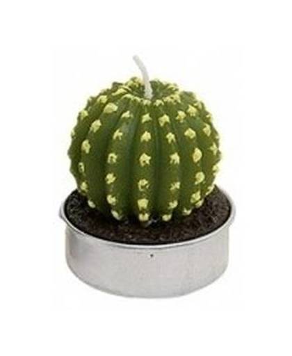Cactus waxinelichtje 5 cm type 4