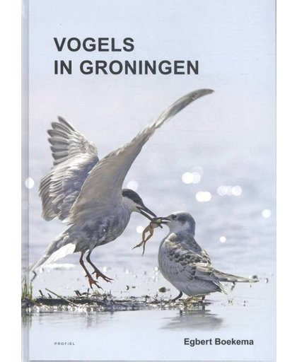 Vogels in Groningen - Egbert Boekema