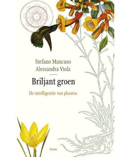 Briljant groen. Over de intelligentie van planten - Stefano Mancuso en Allessandra Viola