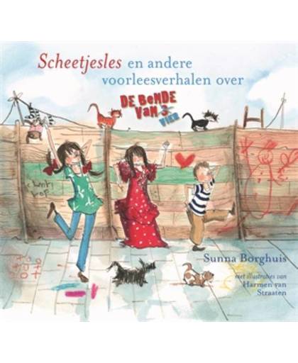Scheetjesles (met CD) - Sunna Borghuis