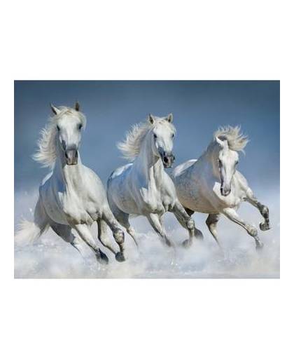 Dieren magneet 3d witte paarden