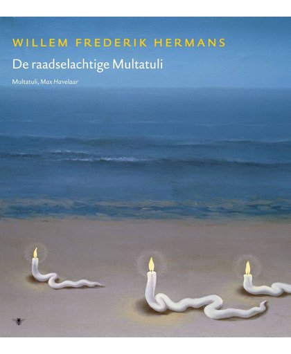 Volledige Werken deel 17 - Willem Frederik Hermans