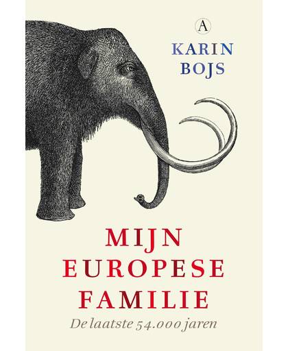 Mijn Europese familie - Karin Bojs