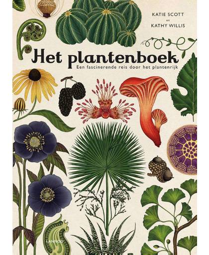 Het plantenboek - Katie Scott en Kathy Willis