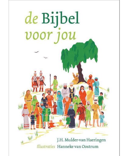 De Bijbel Voor Jou - J.H. Mulder-van Haeringen