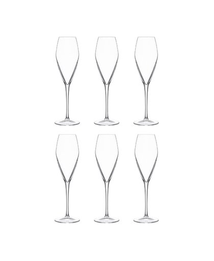Atelier champagneglas (Ø7,5 cm) (set van 6)