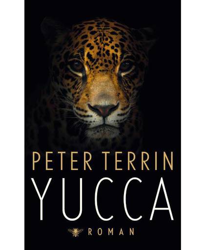 Yucca - Peter Terrin
