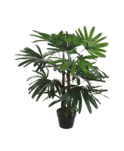 kunstplant Rhapsis Palm (h90 cm)