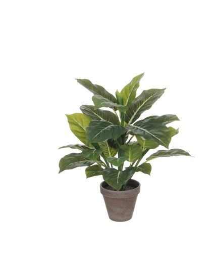kunstplant Evergreen (h49 cm)