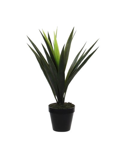 kunstplant Yucca (h60 cm)