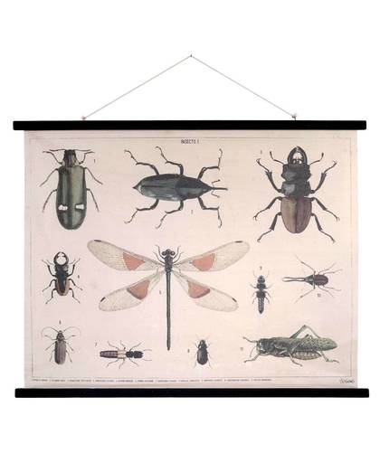 schoolkaart Insect XL (105x85 cm)