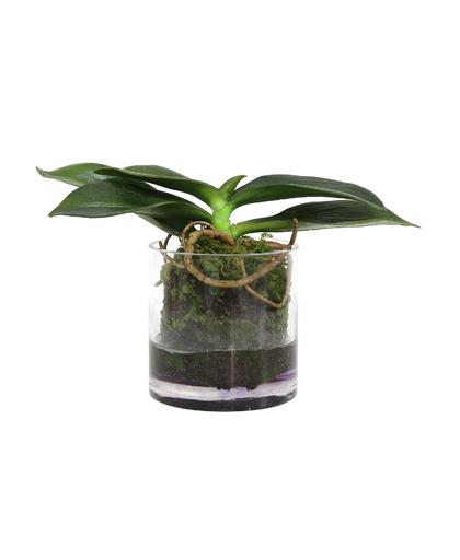 kunstplant orchidee