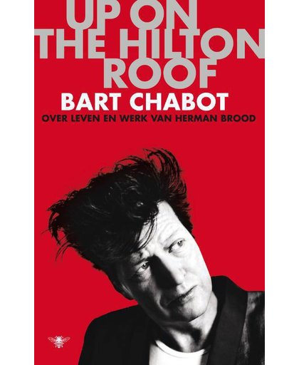 Up on the Hilton roof - Bart Chabot