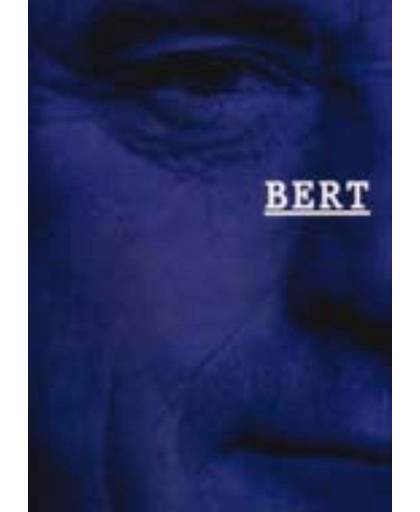 Bert en het beeld - Bert Schierbeek