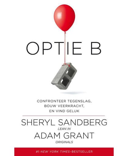 Optie B - Sheryl Sandberg en Adam Grant