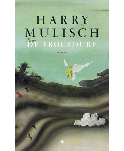 De procedure - Harry Mulisch