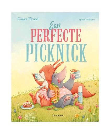 Een perfecte picknick - Ciara Flood