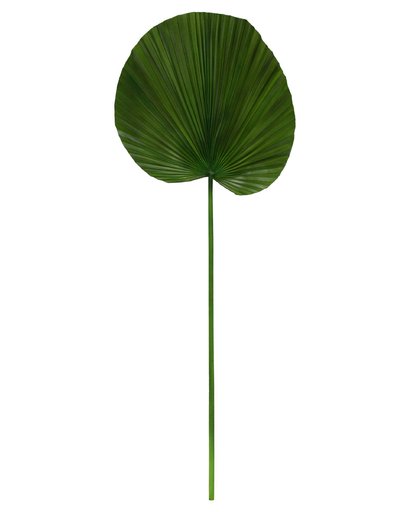 kunstplant palmblad