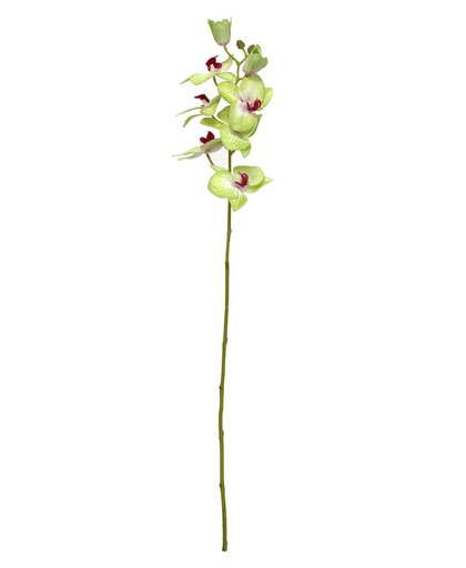 kunstplant Orchidee