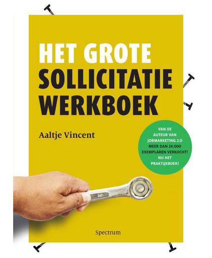Het grote sollicitatiewerkboek - Aaltje Vincent