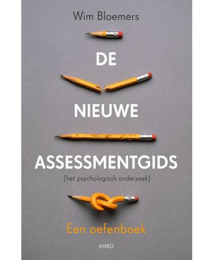 De nieuwe assessmentgids. Een oefenboek - Wim Bloemers