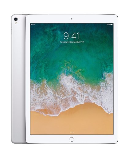 Apple iPad Pro 12,9 inch (2017) 256GB Wifi + 4G Zilver