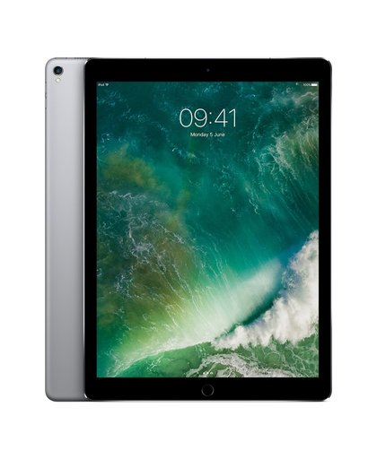 Apple iPad Pro 256GB 3G 4G Grijs tablet