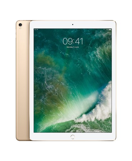 Apple iPad Pro 256GB Goud tablet