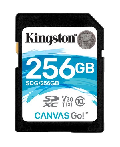Kingston Technology Canvas Go! flashgeheugen 256 GB SDXC Klasse 10 UHS-I