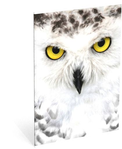 Schrift Wood owl A4 gelijnd