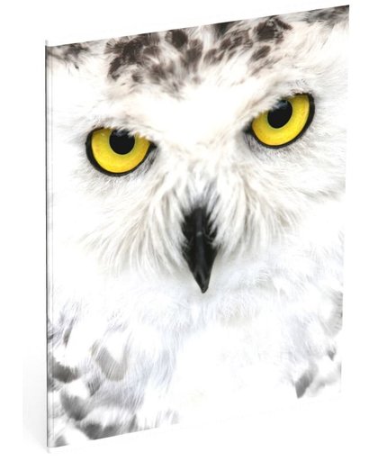 Schrift Wood owl 3-pack A5 gelijnd