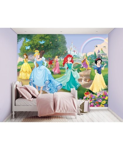 Disney Princess posterbehang