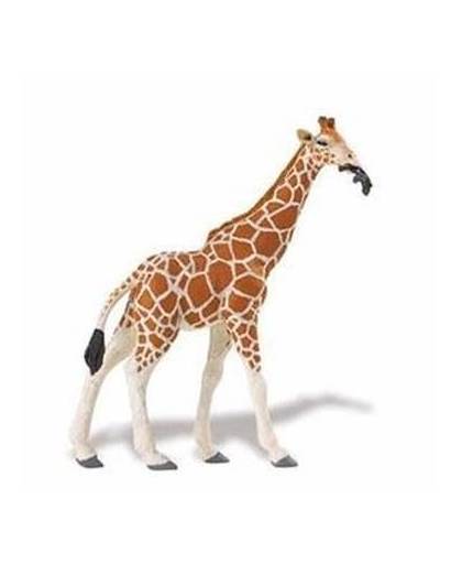 Plastic somalische giraffe 14 cm