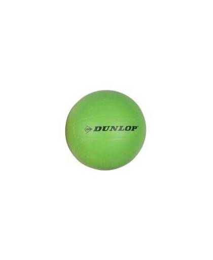 Dunlop volleybal rubber maat 5 groen