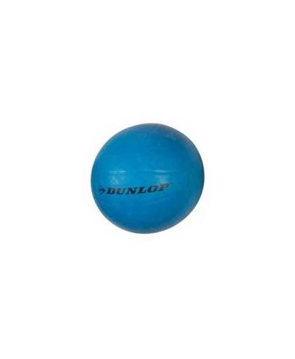 Dunlop volleybal rubber maat 5 blauw