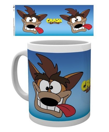 Crash Bandicoot: Cartoon Crash Mug