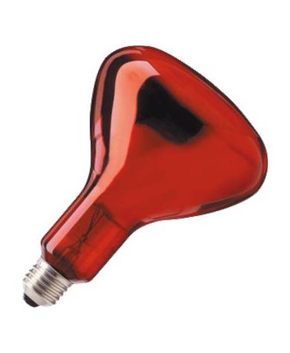 Philips 923212043801 250W Peer infrarode lamp