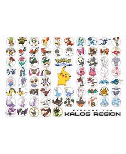 Pokemon Kalos Region Poster