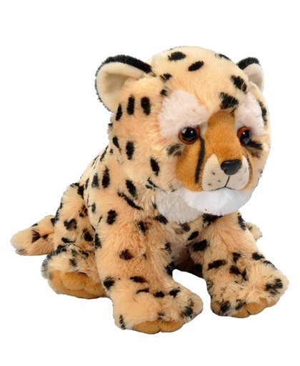 Cuddlekins Medium Cheetah Cub 12 inch Plush