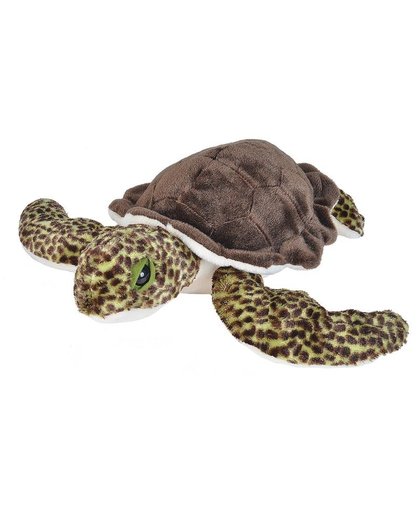 Cuddlekins Medium Sea Turtle Green 12 inch Plush