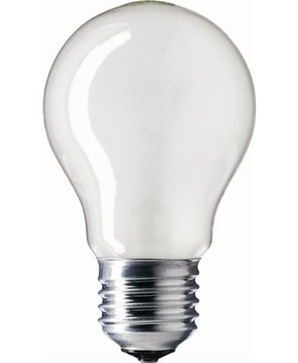 Philips 75W standaardlamp gloeilamp mat E27 (10 stuks)